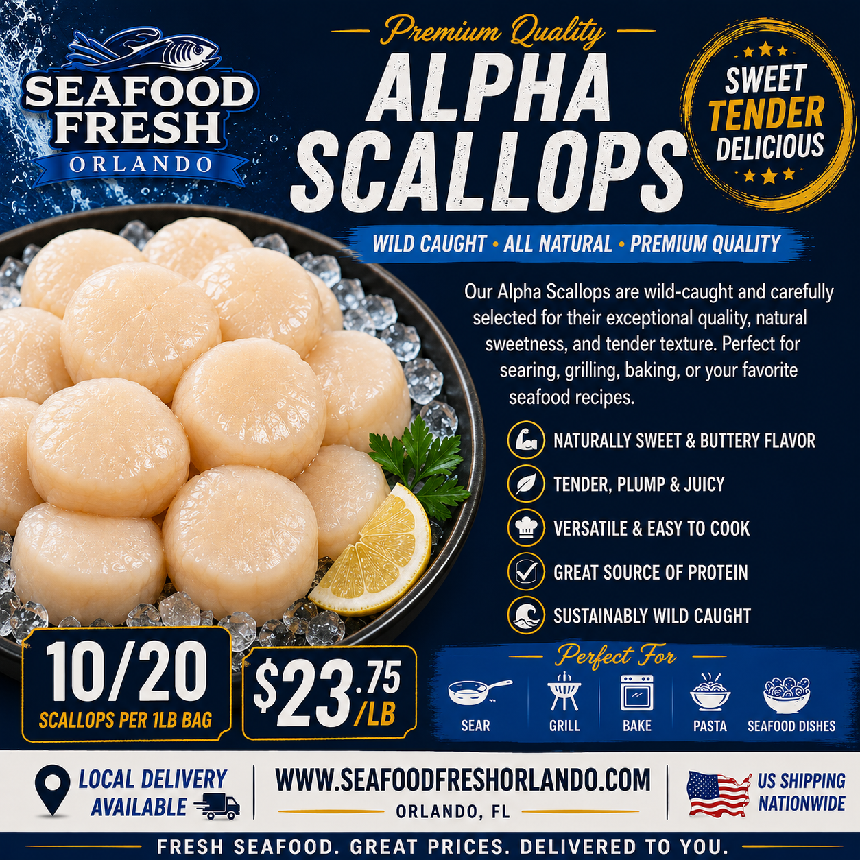 LARGE- ALPHA SCALLOPS 10-20 A POUND