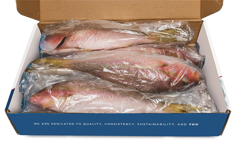 WILD CAUGHT YELLOW TAIL SNAPPER 1-2 POUNDS (10 POUND BOX)