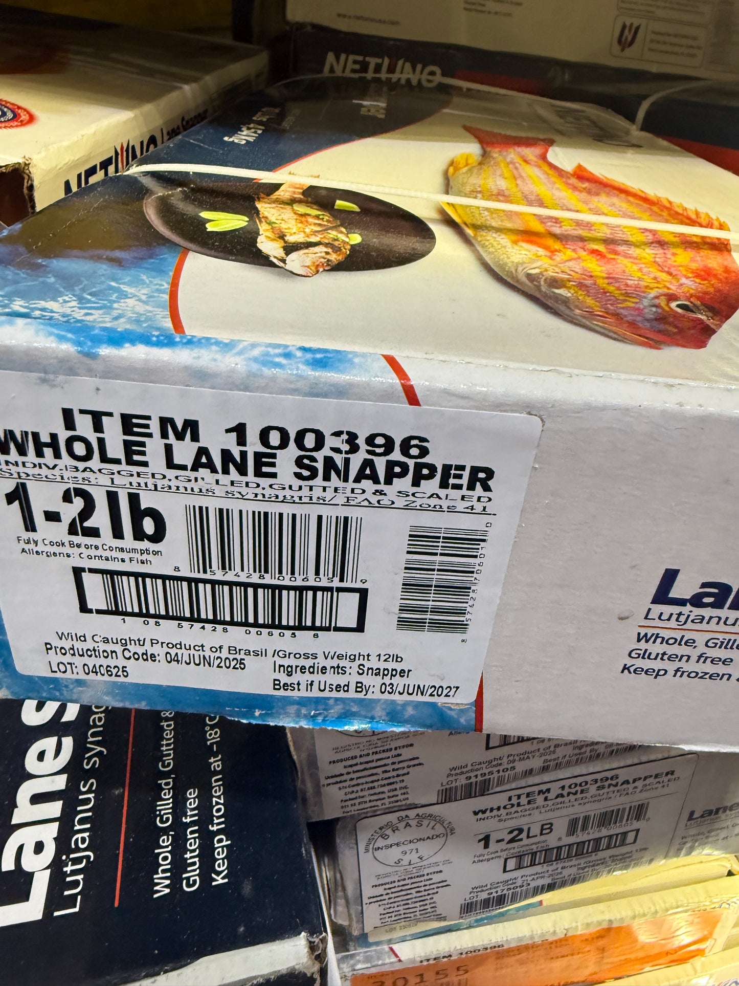 WILD CAUGHT YELLOW TAIL SNAPPER 1-2 POUNDS (10 POUND BOX)