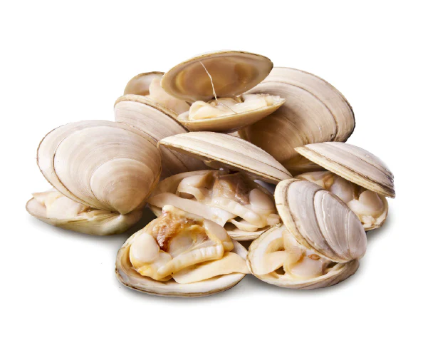 17/22 count frozen white clams per pound