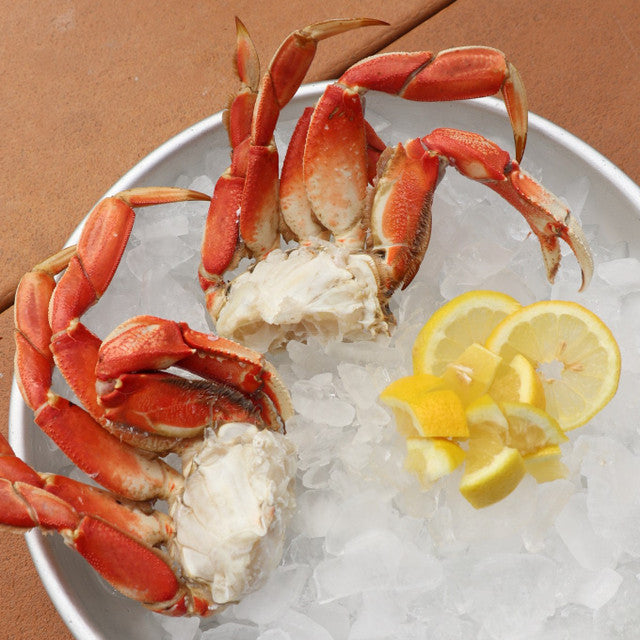 Dungeness crab