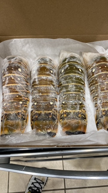 4 - 8 oz Warm water lobster tail