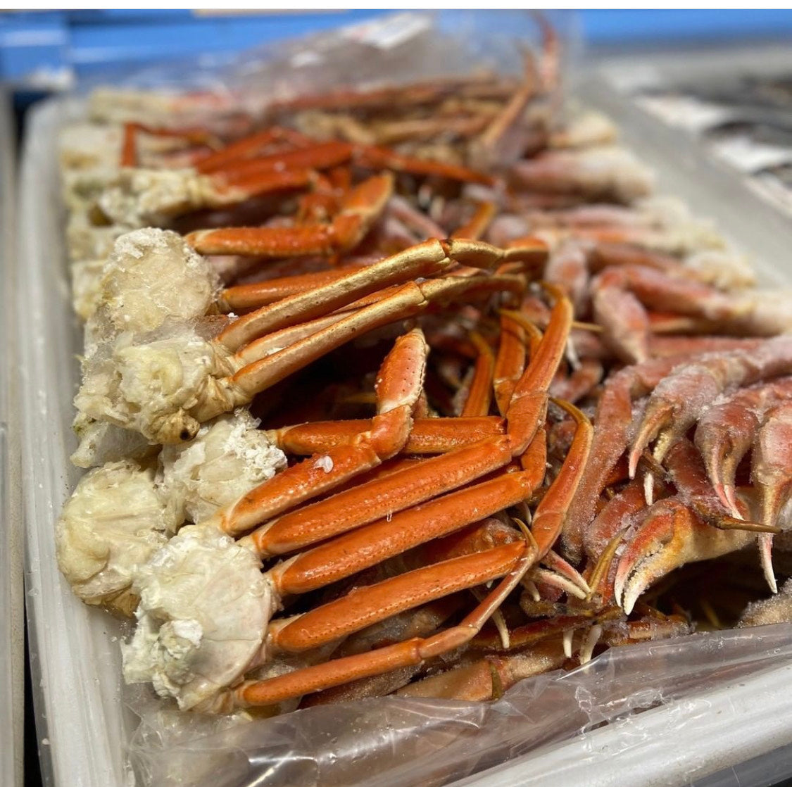 JUMBO Snow Crab Clusters 8/10 5,10,30 pound packages