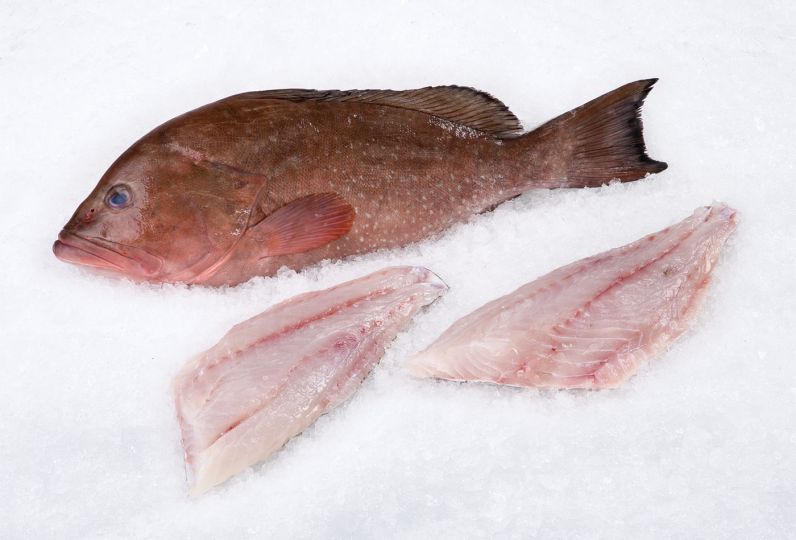 Grouper Fillets