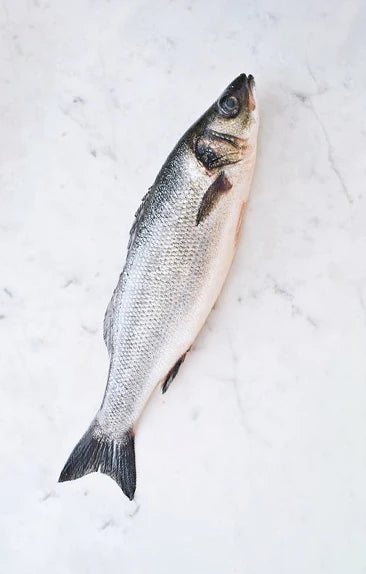 HAVE YOU EVER HAD BRANZINO????