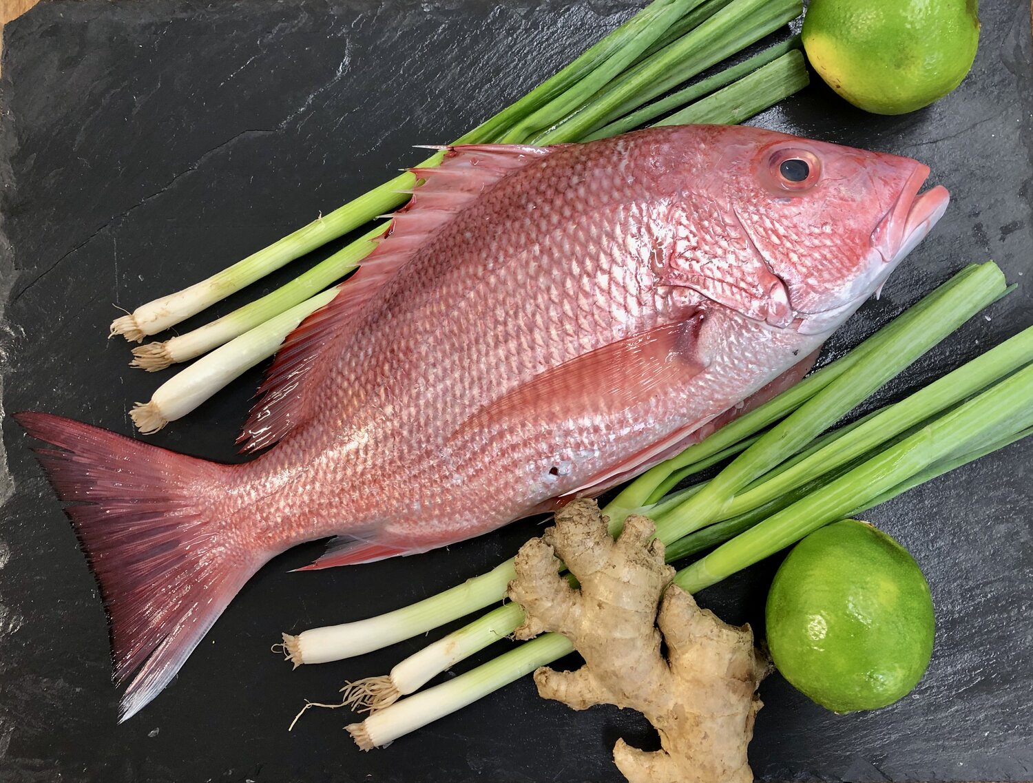 FISH
