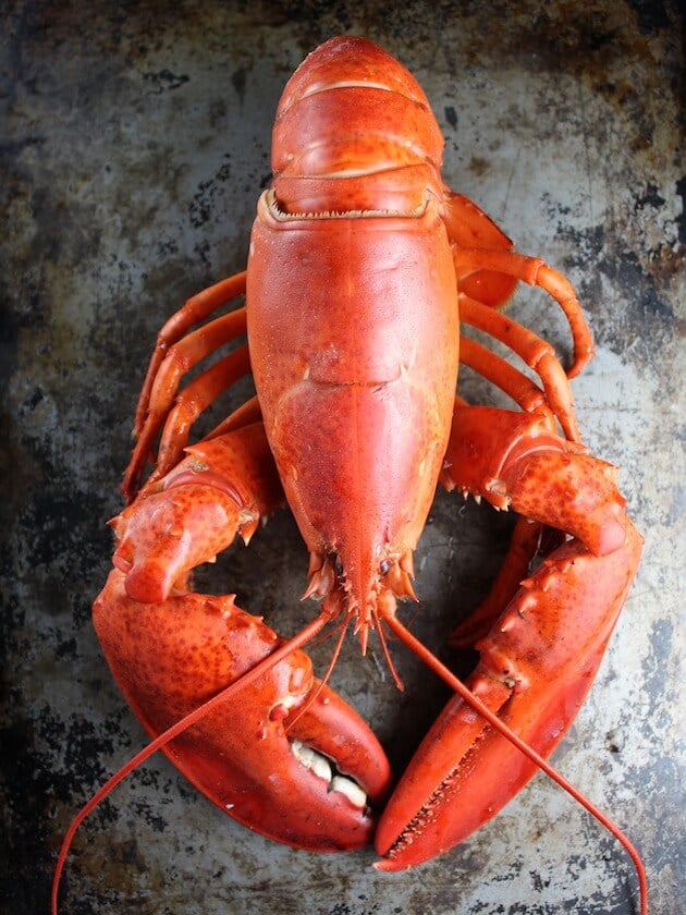 WHOLE LOBSTER  LOBSTER TAILS AND CRAWFISH