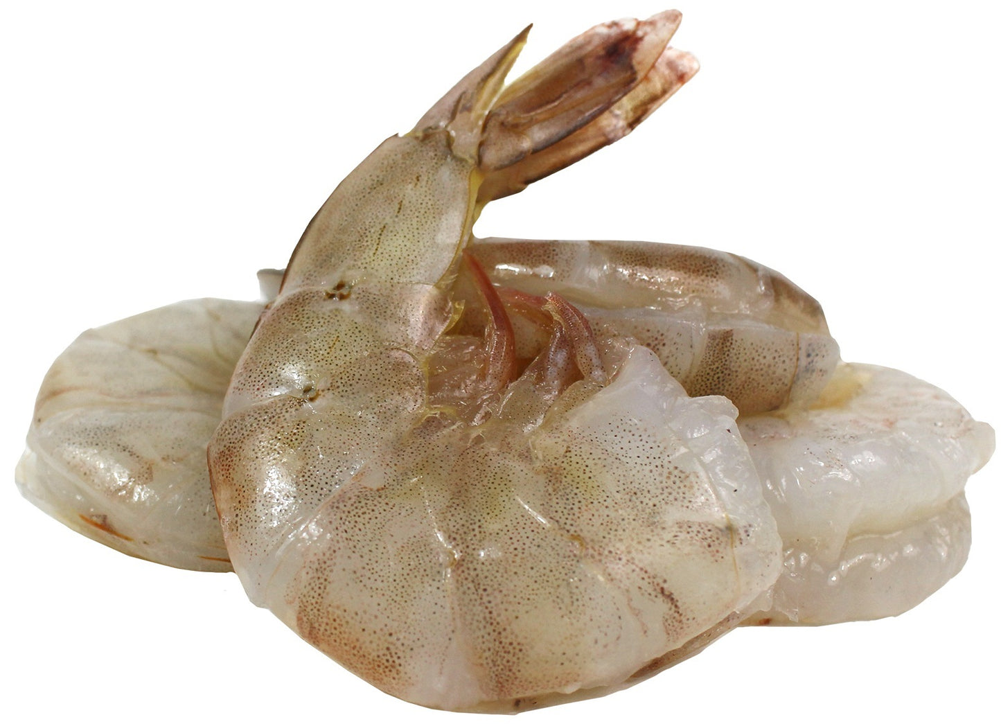 SUPER DEAL DUNGENESS  CRAB-SHRIMP LOBSTER TAIL ONE LOW PRICE
