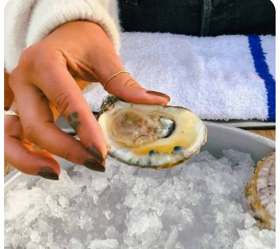 BLUE POINT oysters