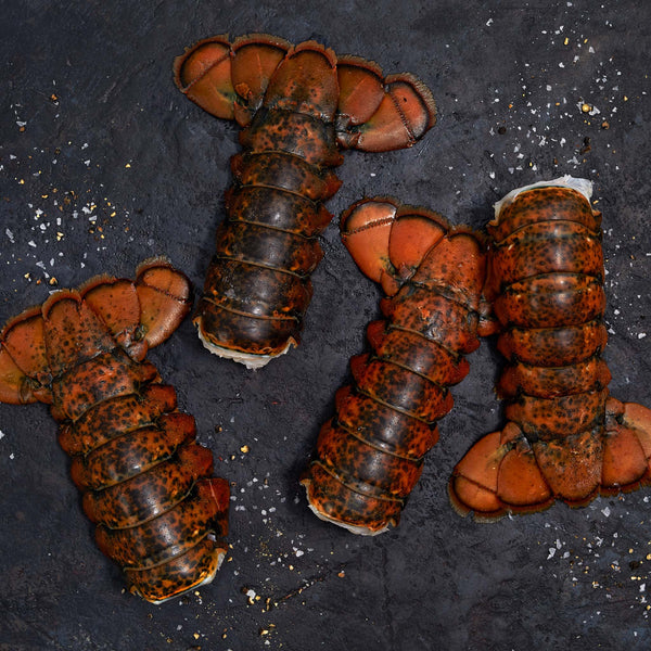 DUNGENESS DEAL!!  CRAB-SHRIMP LOBSTER TAIL ONE LOW PRICE