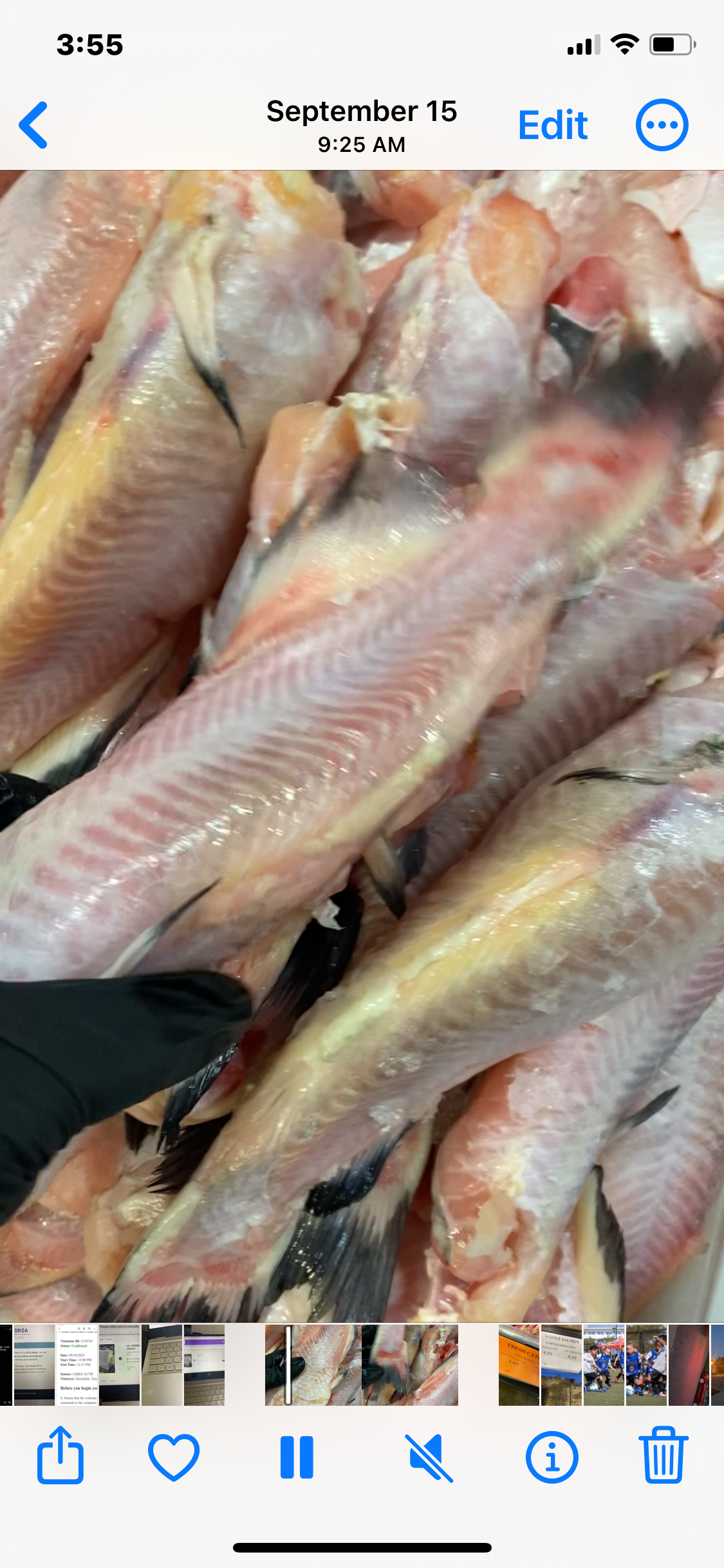 5 pounds Whole Catfish ---- (0.5-1.2) headed gutted and cleaned.