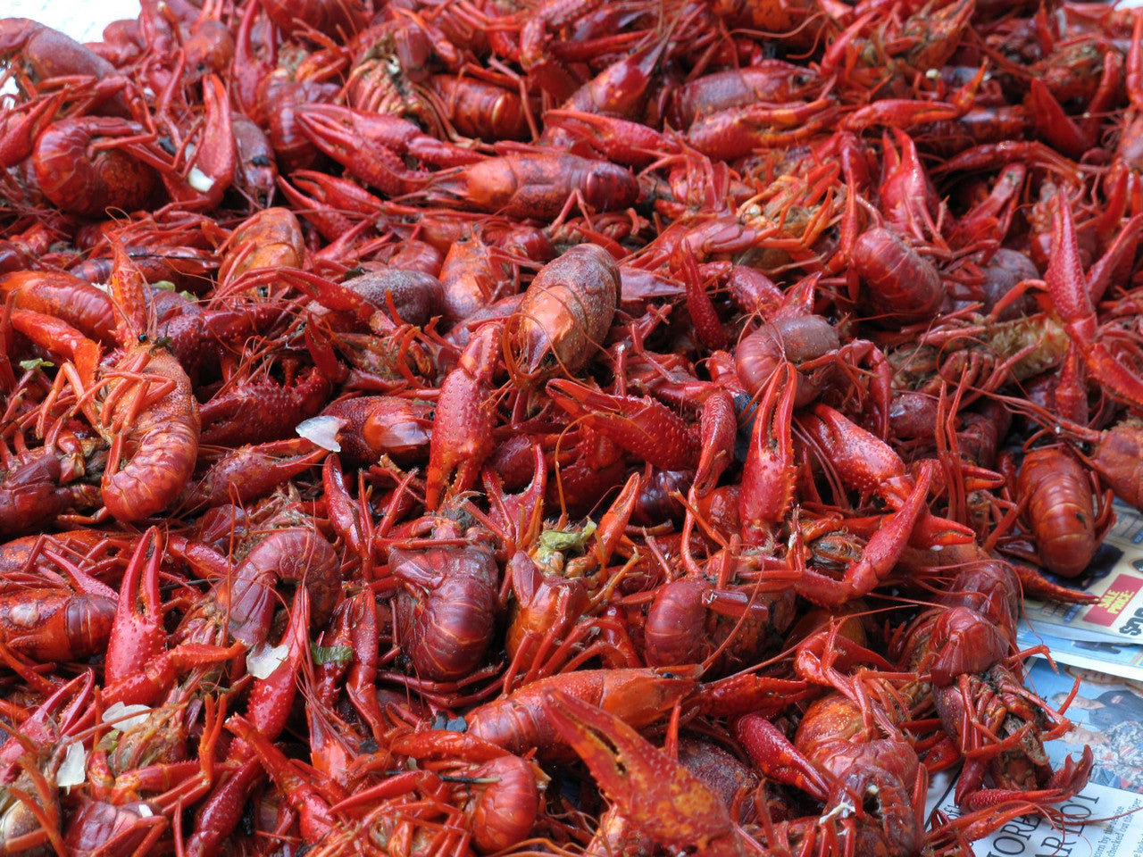 SPECIAL OFFER #1  COOKED LARGE BLUE CRAB,CRAWFISH AND SEASONING ---65.00