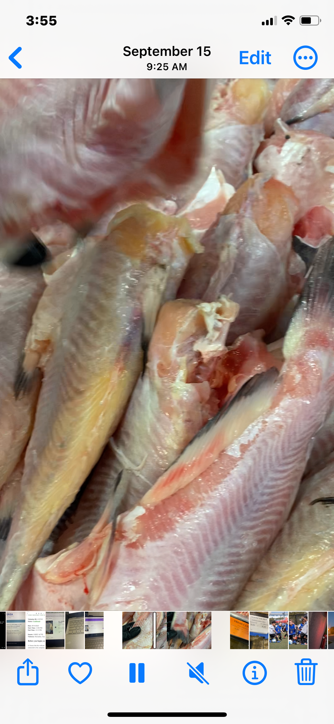 5 pounds Whole Catfish ---- (0.5-1.2) headed gutted and cleaned.