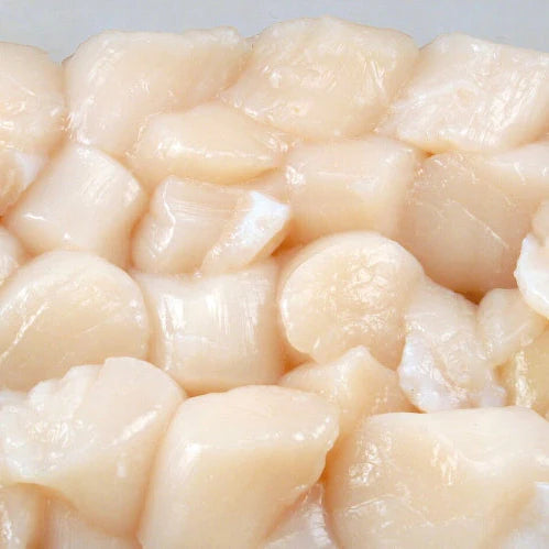 LARGE- ALPHA SCALLOPS 10-20 A POUND