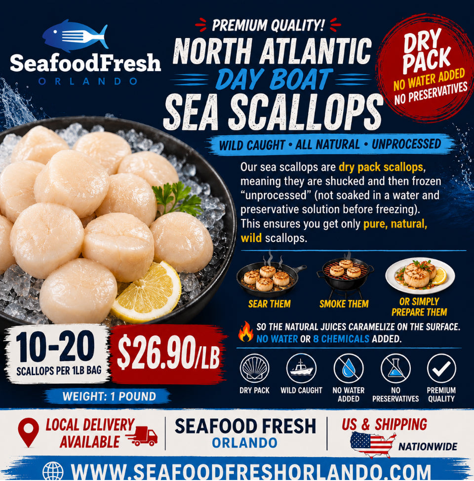 LARGE- NORTH ATLANTIC SCALLOPS 10-20 A POUND