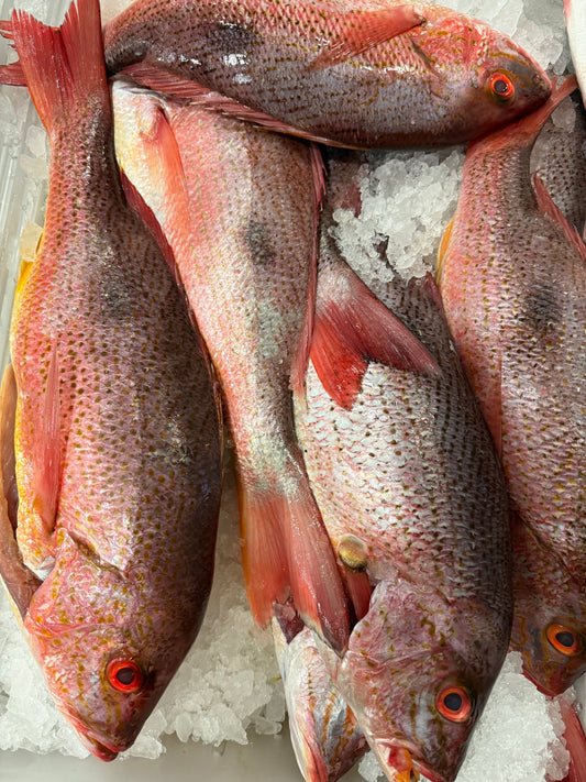 Fresh Silk or Lane Snapper — Monthly Pre-Order (0.5–1 lb)