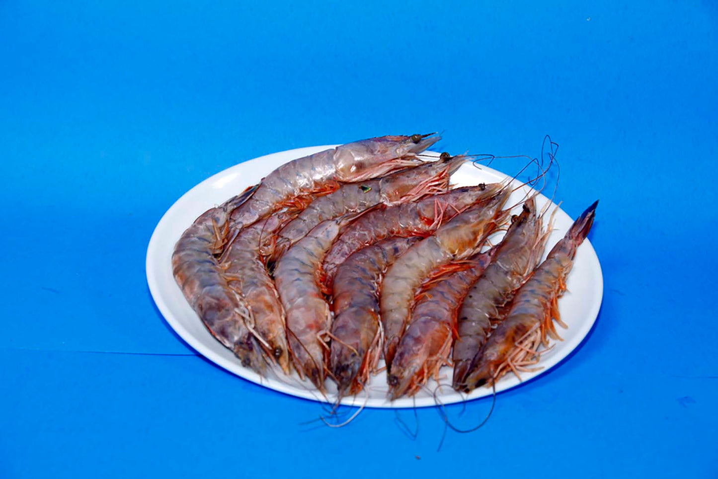Colossal Wild-Caught Head-On Shrimp (9–12 ct/lb )