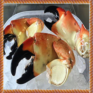 WILD FLORIDA STONE CRAB  CLAWS