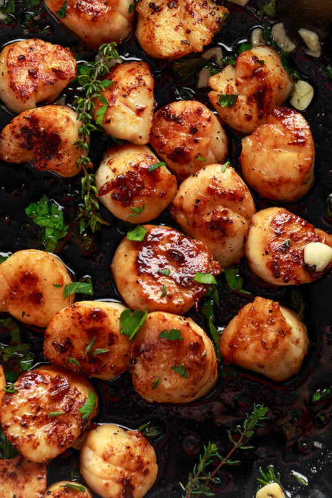 LARGE- NORTH ATLANTIC SCALLOPS 10-20 A POUND