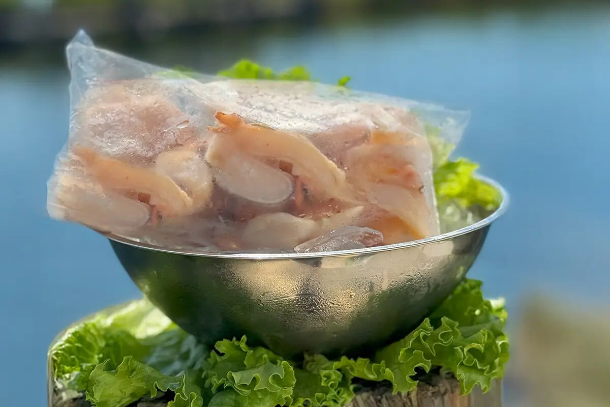 100% Cleaned Caribbean Conch Meat
