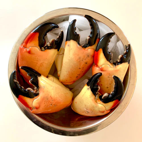 WILD FLORIDA STONE CRAB  CLAWS