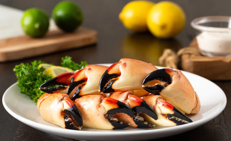 WILD FLORIDA STONE CRAB  CLAWS