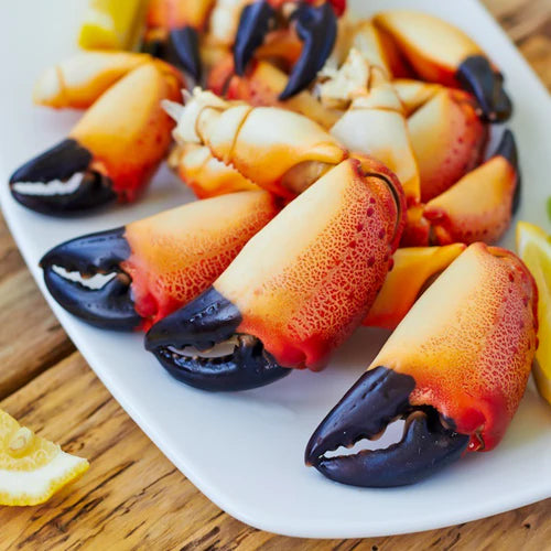WILD FLORIDA STONE CRAB  CLAWS