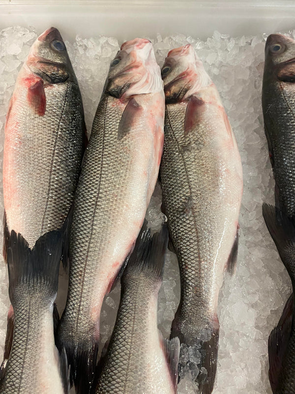 400-600 g Branzino Fish