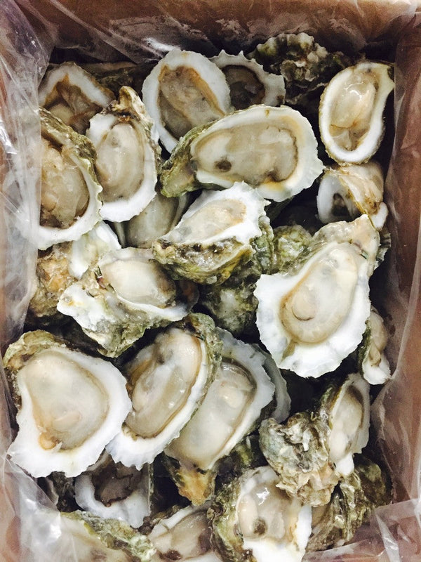 1 dozen frz half shell oysters