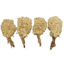Tampa Bay Fisheries 8/12 Super Colossal Coconut Shrimp 2 pounds