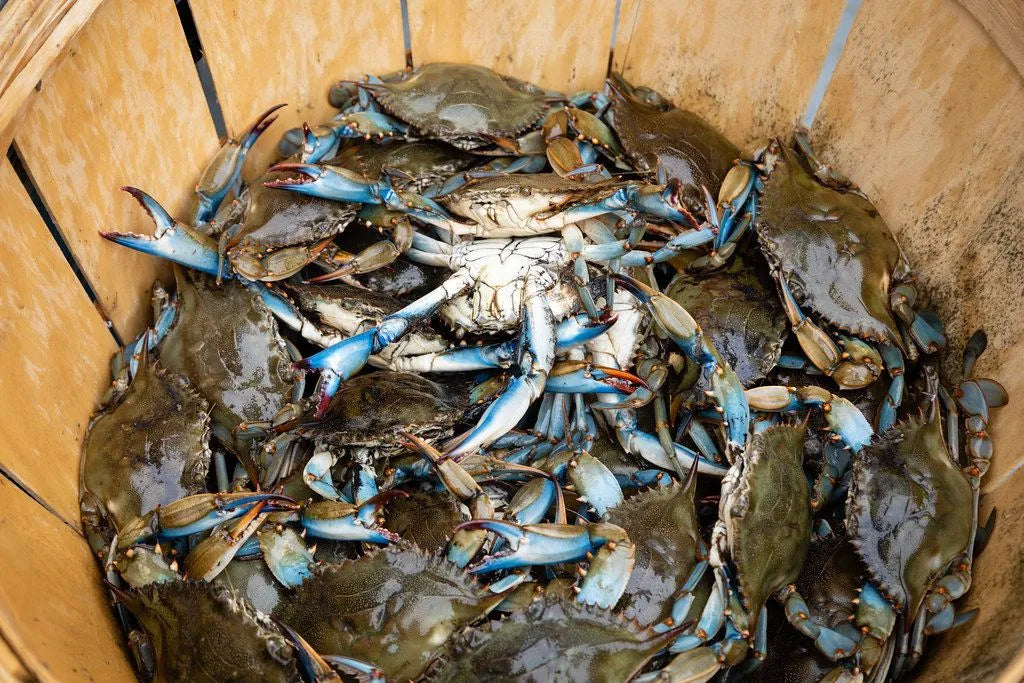 ENTREGA DE COMBO DE MARISCOS PARA EL DÍA DE LA MADRE 2026 SOLO EL 8 Y 9 DE MAYO
