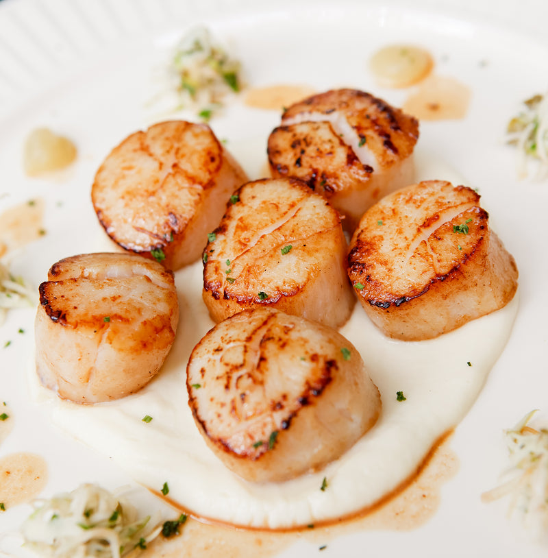 LARGE- ALPHA SCALLOPS 10-20 A POUND