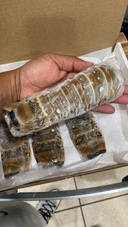 4 - 8 oz  Warm water lobster tail