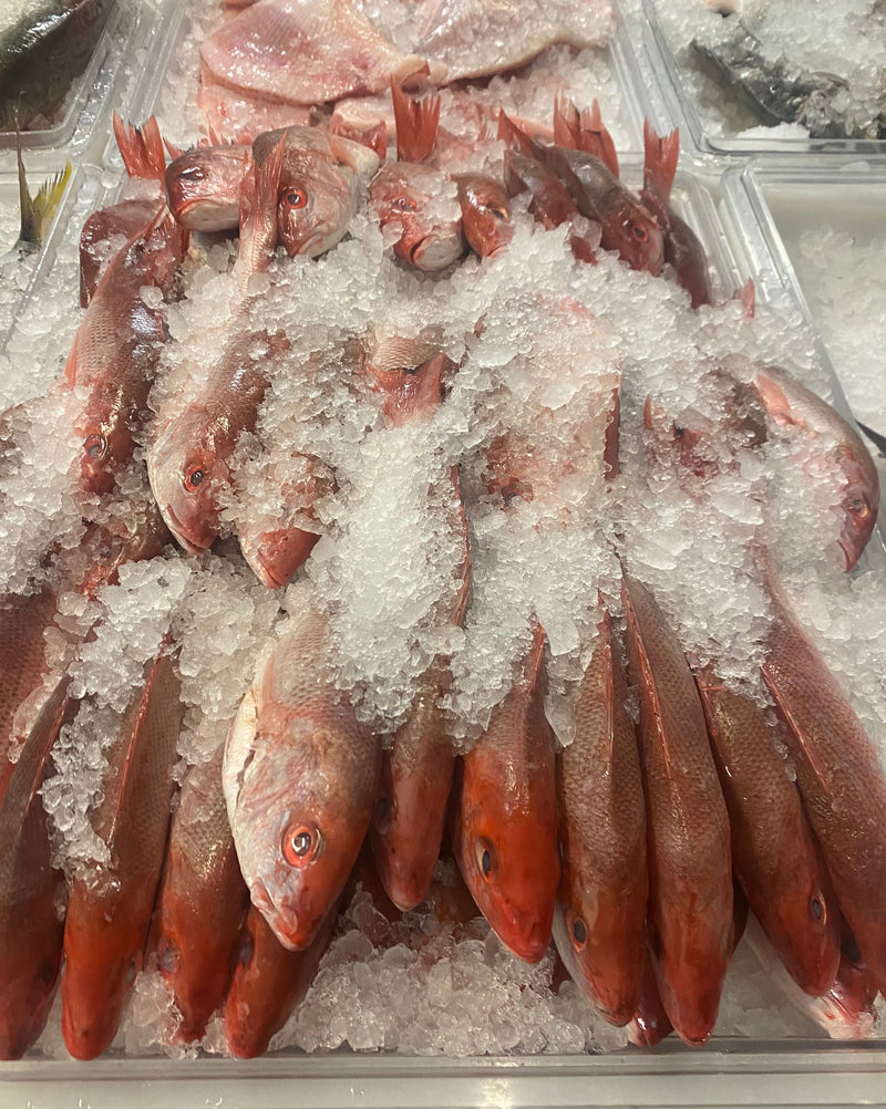 Wild Red Snapper or Yellow tail 1.1 TO 1.5 LB EACH Thursday to Sunday