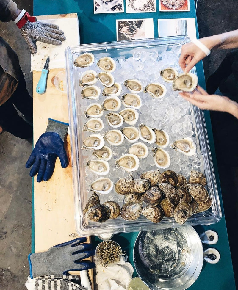 LIVE Gulf Coast Bottom Oysters individually sold!!