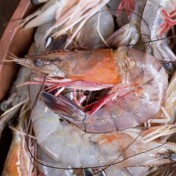 9 pound boil/// 3 Pounds Live Blue Crab //3 pounds lrg Gulf Shrimp head-on and  3 pounds frozen cooked Crawfish