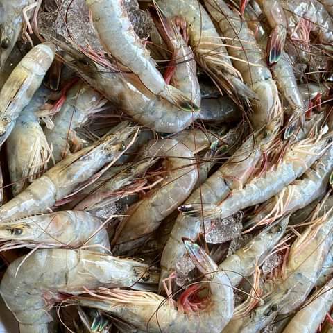 ENTREGA DE COMBO DE MARISCOS PARA EL DÍA DE LA MADRE 2026 SOLO EL 8 Y 9 DE MAYO